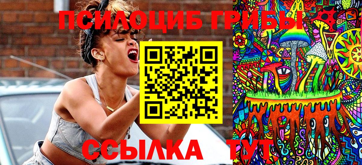 Галлюциногенные грибы Psilocybine cubensis  Вход с VPN  Семёнов 